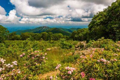A first-time guide to Shenandoah National Park - lonelyplanet.com - Washington - state Virginia - county Shenandoah