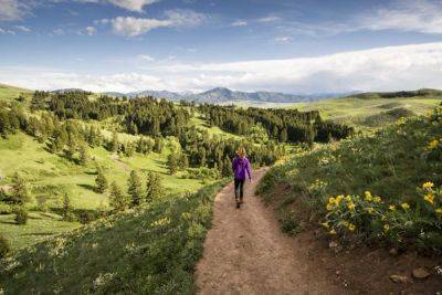 The best hikes in Bozeman for outdoor splendor - lonelyplanet.com - state Montana - county Lewis And Clark - city Bozeman, state Montana