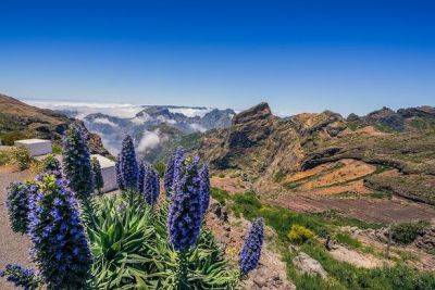 Madeira Set for Historic Year After Securing Global Golf and Travel Awards Double - breakingtravelnews.com - Portugal - city Santo