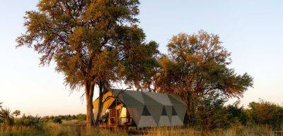 Wilderness Mokete opens in Botswana's undiscovered Mababe region - traveldailynews.com - Botswana