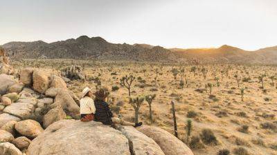 Joshua Tree National Park: everything a first-time visitor could want to know - lonelyplanet.com - Los Angeles - state Colorado - state California - city Palm Springs - county Will