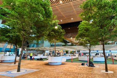 A look inside the new tree-lined main terminal at Portland International Airport - thepointsguy.com - Washington - state Alaska - state Oregon - city Portland, state Oregon