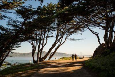 A first-time guide to San Francisco’s Presidio - lonelyplanet.com - Spain - Usa - Mexico - San Francisco - city San Francisco - county Hill