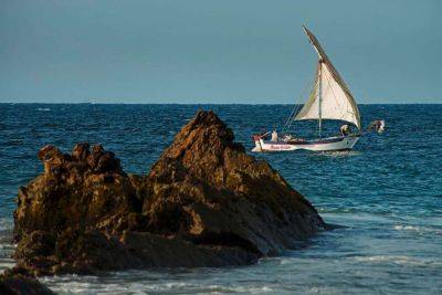 This Iconic South American Country Got a New National Reserve — and It's a Whale-watcher's Paradise - travelandleisure.com - Usa - county Island - Peru