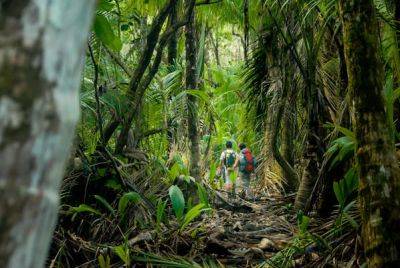 The 8 best hikes in Central America - lonelyplanet.com - Costa Rica - Nicaragua - Panama