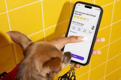 Lyft Is Making It Easier to Travel with Pets — What to Know - travelandleisure.com