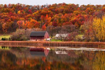 5 stunning fall foliage road trips in the Midwest - thepointsguy.com - Netherlands - Usa - county Park - state Mississippi - state Michigan - county St. Joseph