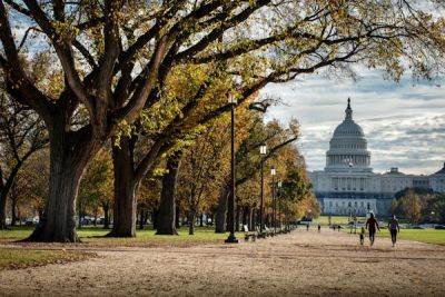 A walking tour of Washington, DC’s National Mall - lonelyplanet.com - Usa - Washington - city Washington - Vietnam - India - city Lincoln