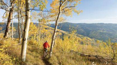 When to go to Vail, an all-season destination (really!) - lonelyplanet.com - state Colorado - Denver - county Valley - county Creek - city Vail, county Valley - county Beaver