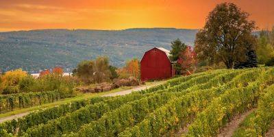 The 5 US states with the best wineries, according to a sommelier - insider.com - France - Italy - Usa - state Vermont - state Florida - state Alaska - state Hawaii