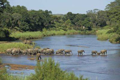 A first-time guide to Kruger National Park, South Africa - lonelyplanet.com - South Africa - county Park