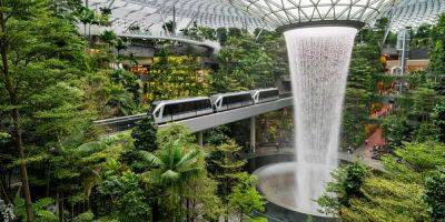 I'm an Australian living in the US. I route all my flights home through Singapore just to explore Changi Airport. - insider.com - Australia - Usa - city New Orleans - Singapore - city Singapore