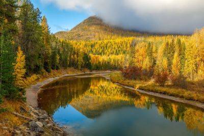 Montana's Aspens Are Turning Gold. Here's Where to See the Best Foliage in the State - matadornetwork.com - county Lake - state Indiana - state Montana