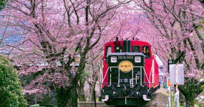 This 25-Minute Train Ride Is the Most Romantic Way to See Japan’s Cherry Blossoms - matadornetwork.com - Japan - city Tokyo