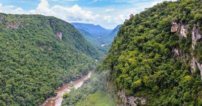 Giant Wildlife, Waterfalls, and a Canopy Walkway: 5 Epic Adventures in Guyana (Plus Where to Eat After) - matadornetwork.com - Britain - county Park - Guyana - county Miller