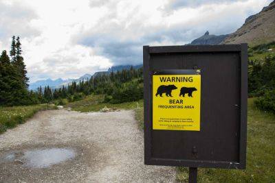 Multiple Glacier National Park Trails Closed Following Hikers' Bear Encounter — What to Know - travelandleisure.com - county Glacier