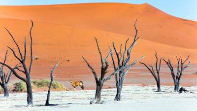 A first-time guide to Namibia - lonelyplanet.com - Namibia - city Windhoek