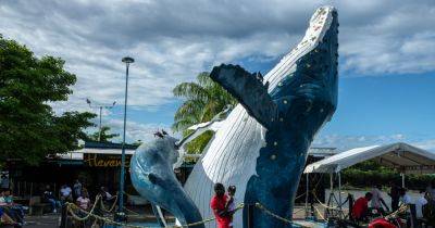 In Colombia, You Can Watch Whales, and Serenade Them, Too - nytimes.com - Colombia - Chile