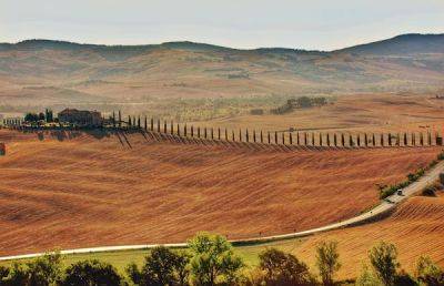 Tuscan road trip: a flexible itinerary across the region's highlights - lonelyplanet.com - Italy - county Florence - city Florence - city Renaissance