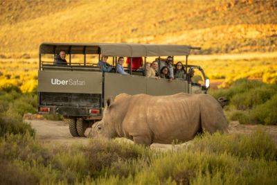 Uber Is Launching a Safari Experience In South Africa — and Its Just $200 - travelandleisure.com - France - South Africa - Turkey - city Cape Town