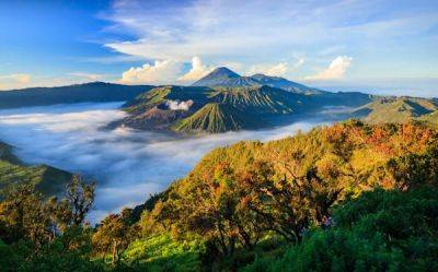 8 of the best places to visit in Java, Indonesia - lonelyplanet.com - Netherlands - city Old - Indonesia - city Chinatown - city Jakarta