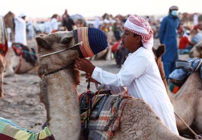 The best times to visit Oman for roses, camel races and more - lonelyplanet.com - Oman - county Marathon