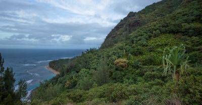 Dozens Fall Ill on Hawaii Hiking Trail in ‘Concerning’ Outbreak of Norovirus - nytimes.com - state Hawaii - county Kauai